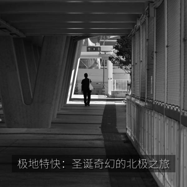 极地特快：圣诞奇幻的北极之旅