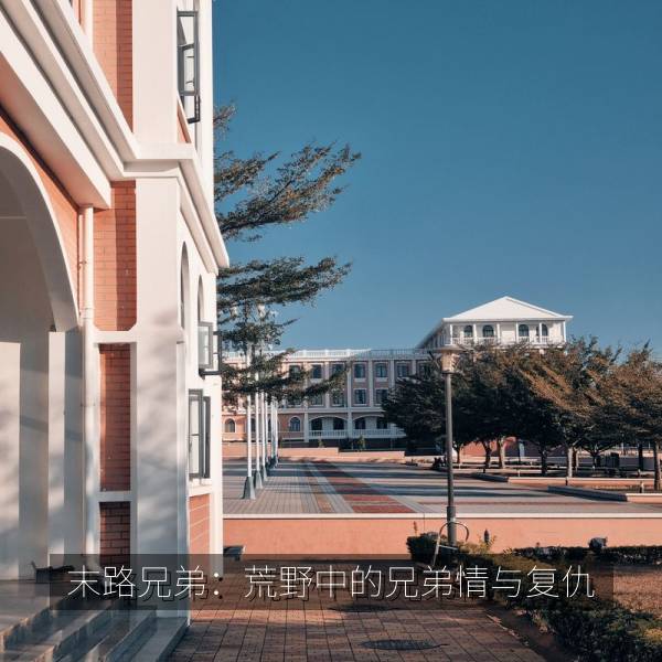 末路兄弟：荒野中的兄弟情与复仇