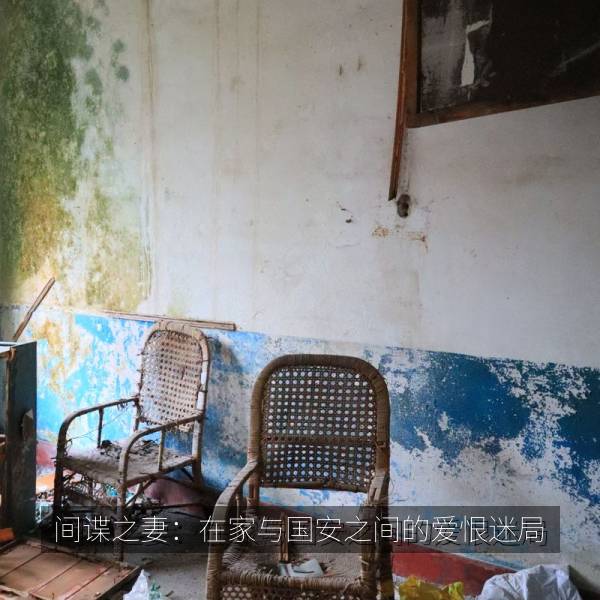 间谍之妻：在家与国安之间的爱恨迷局