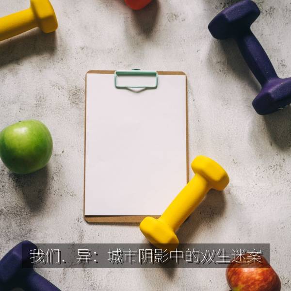 我们．异：城市阴影中的双生迷案