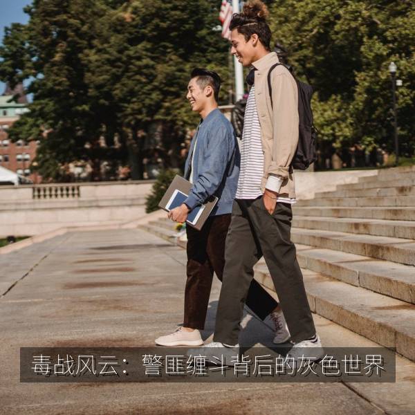 毒战风云：警匪缠斗背后的灰色世界