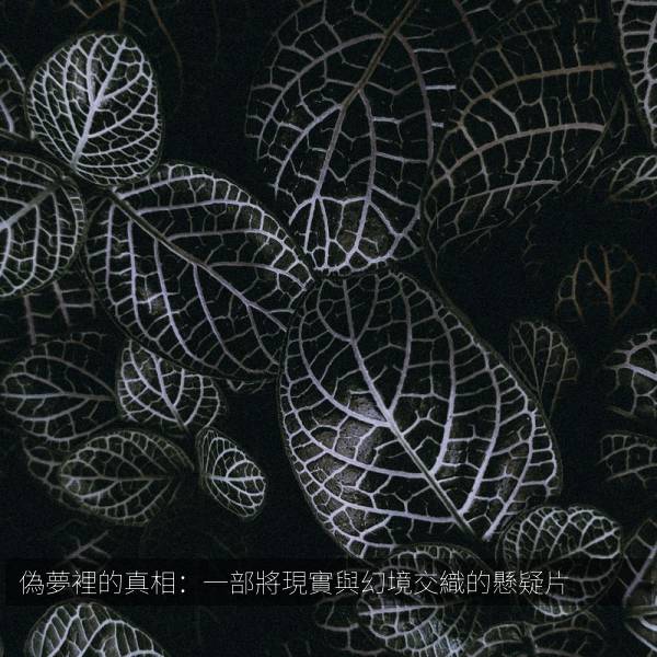 偽夢裡的真相：一部將現實與幻境交織的懸疑片